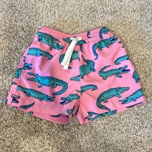 Chubbies kids swim trunks-Size 2T